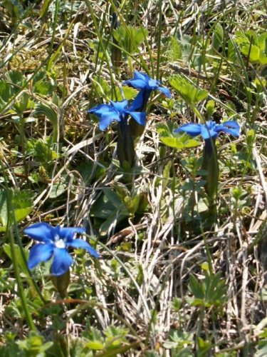 Malá Fatra - 22.5.2005